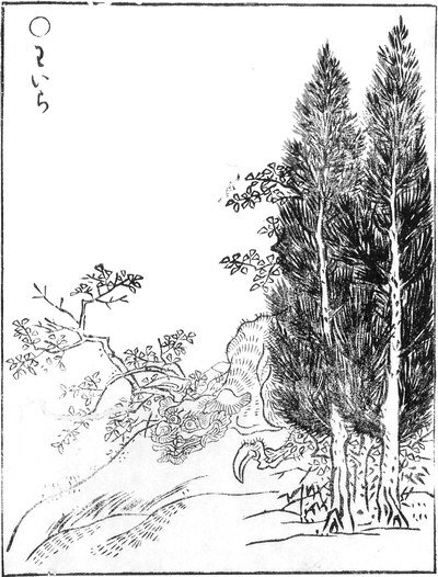 CID1541949098_0840_45ca85cd72775b9b40f3847e60959bb1180685b8.jpg