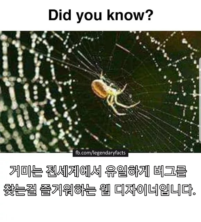 CID1573689867_1859_ad901af735c908cb9d91a9d062fabe9a677b6bc2.jpg