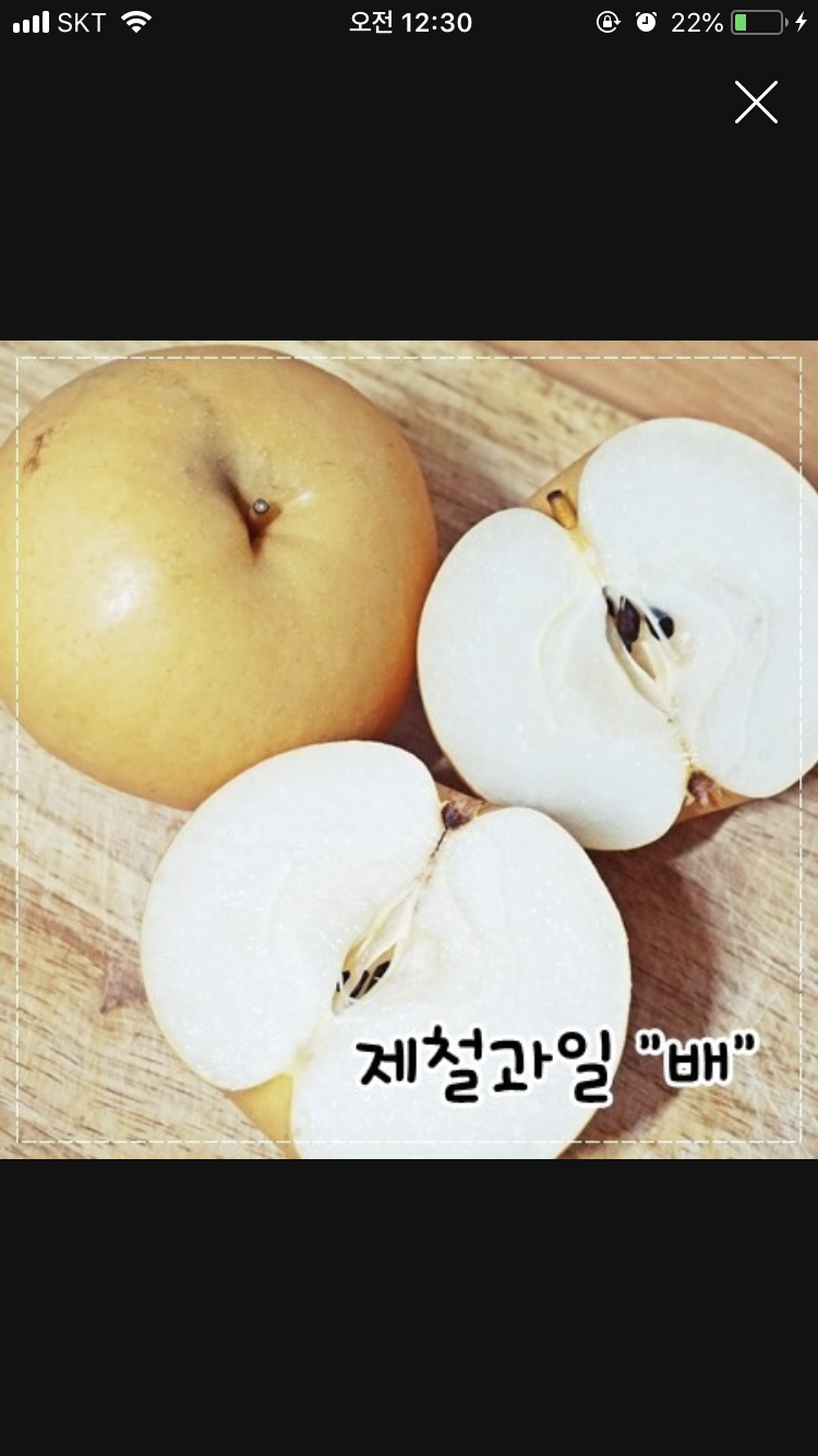그렇다면 난 사과문대신 :: 웃긴대학 왁자지껄 그렇다면 난 사과문대신