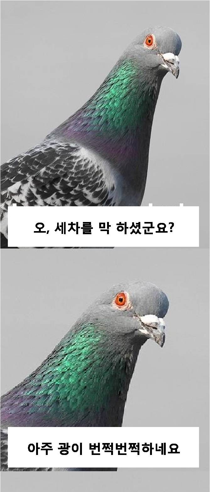 단란주점?