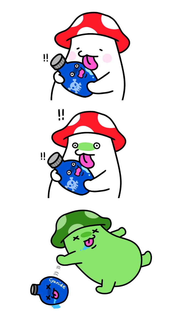 또이어트 47일차