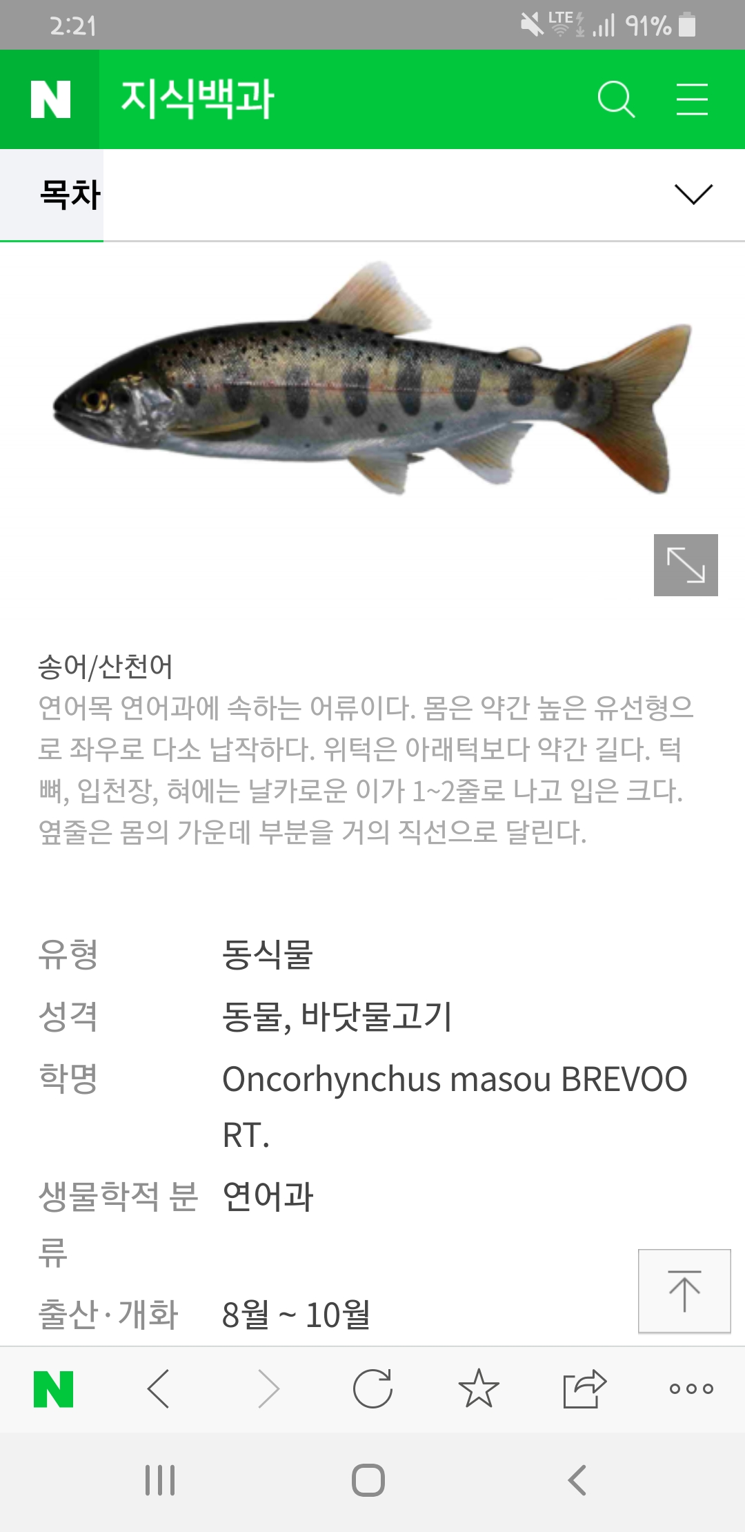송어랑 연어랑 가까운 사이야 :: 웃긴대학 대기자료 송어랑 연어랑 가까운 사이야