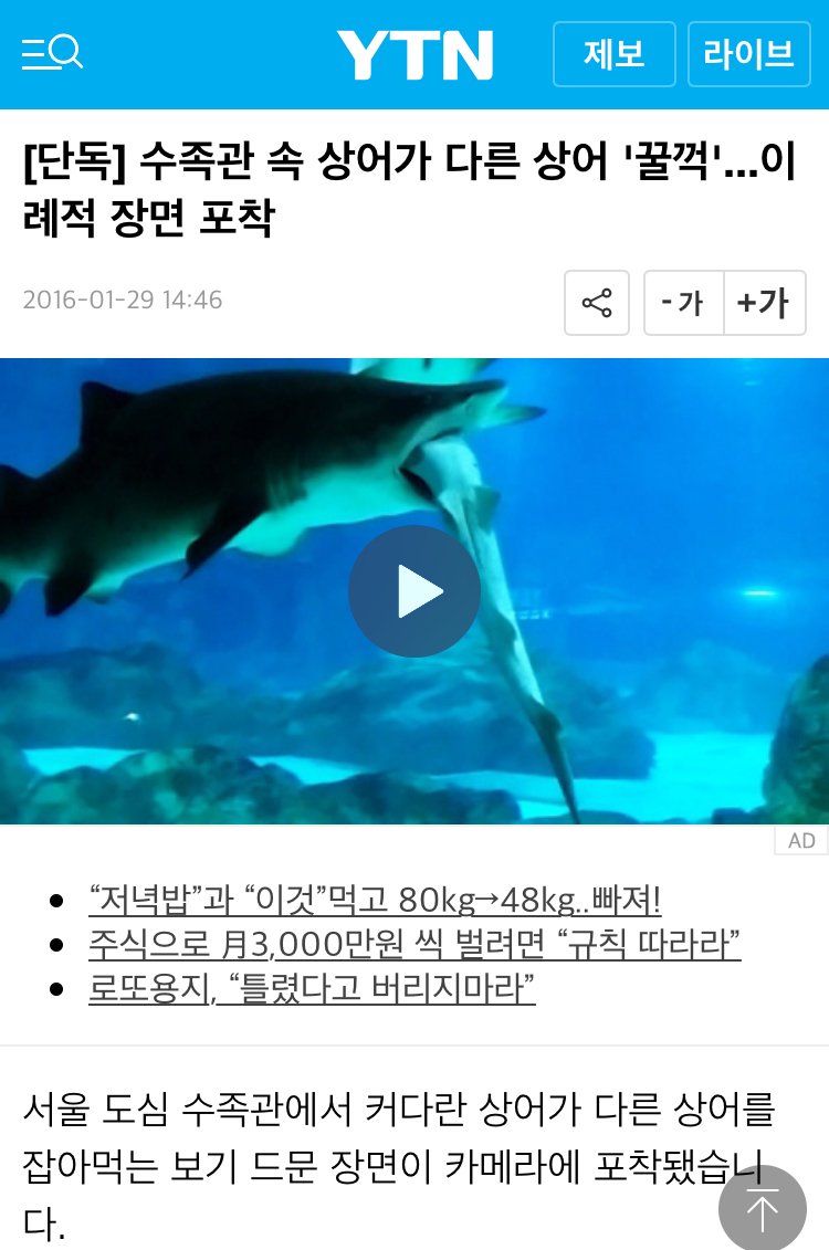 하반기 연봉협상 tip