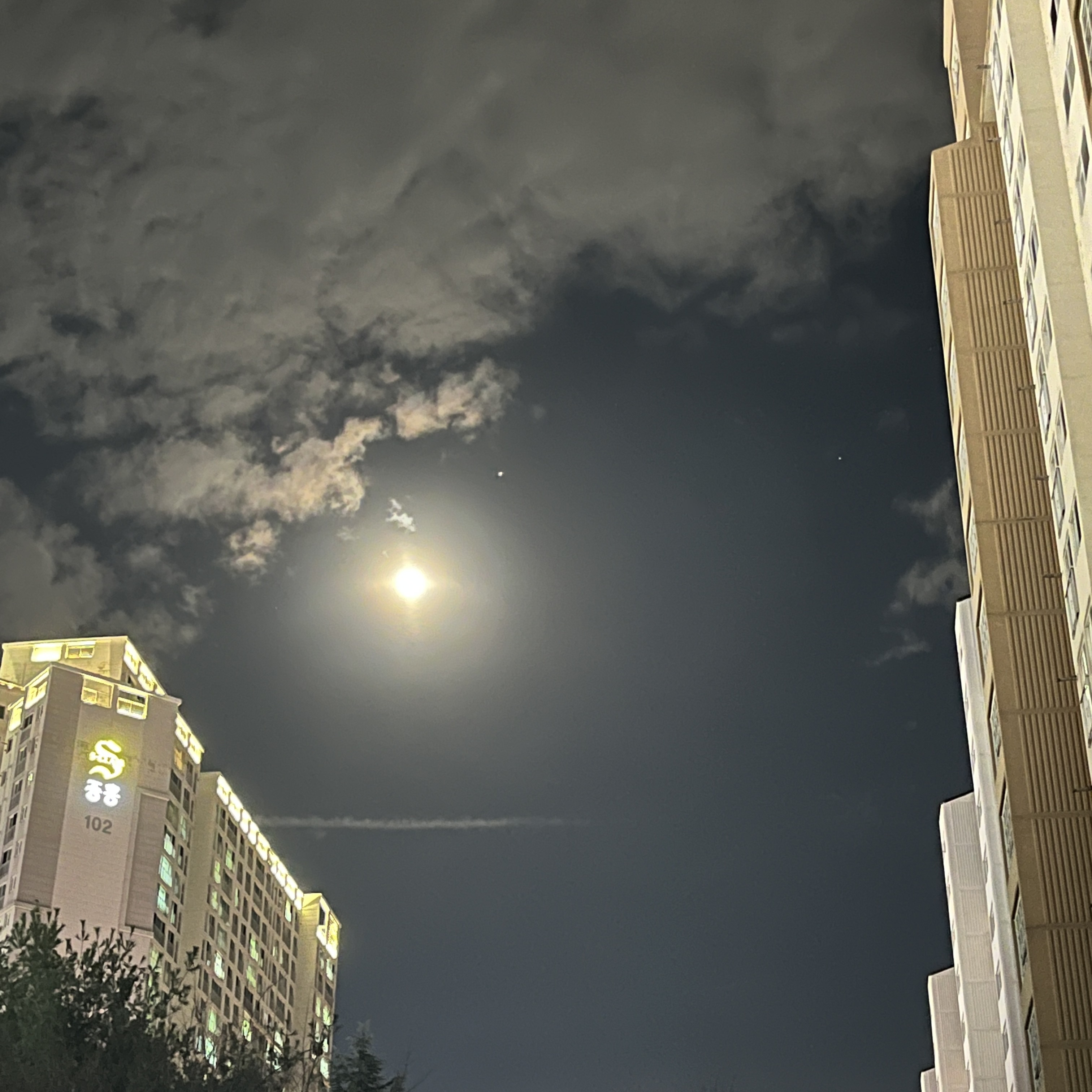 간식은 호두정과랑 귤 :: 웃긴대학 대기자료 간식은 호두정과랑 귤