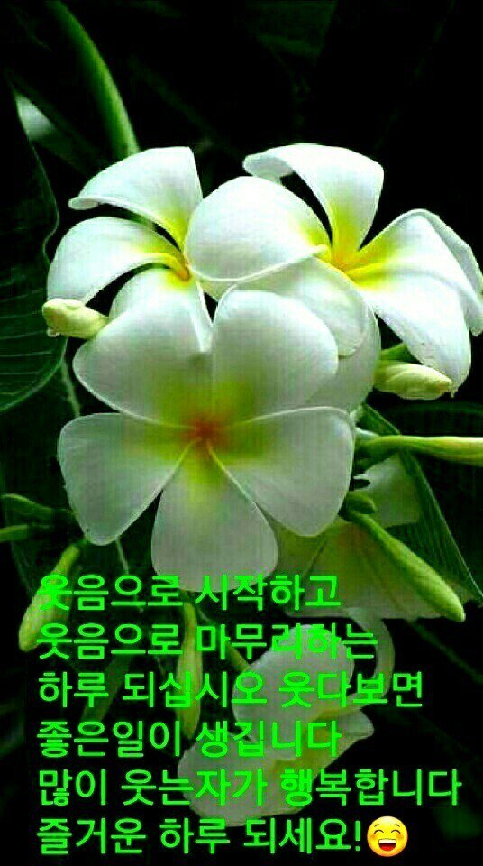 우,,,낀대,,학,,횐님들,,,조은,,하루되십시오,,,,