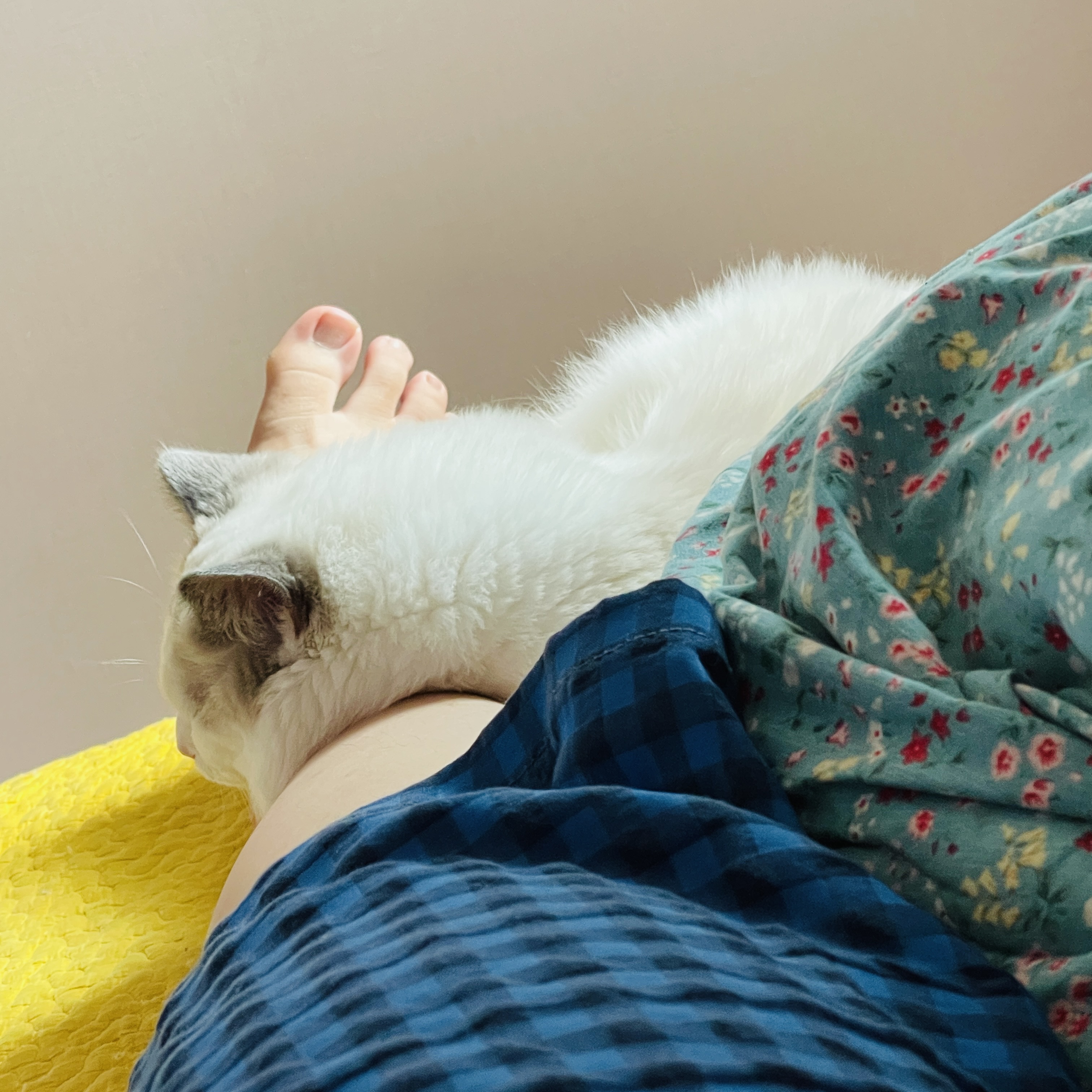 마음먹고 산 닭강정이 넘모 맵다 :: 웃긴대학 대기자료 마음먹고 산 닭강정이 넘모 맵다
