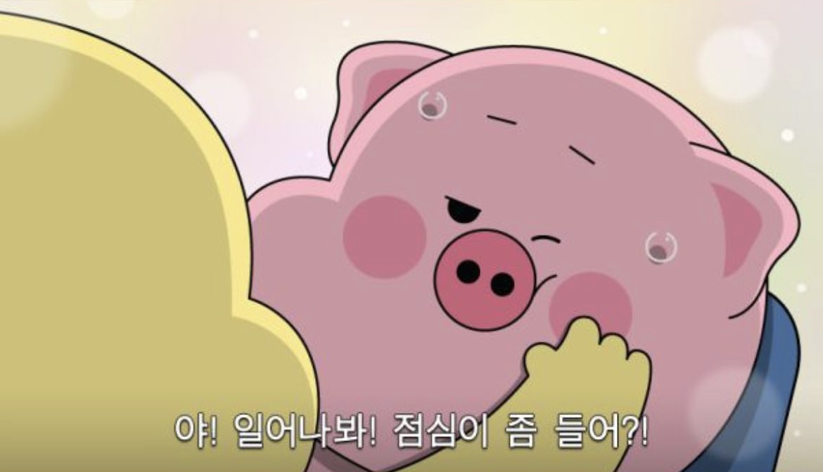돼지 짤 가져가세요