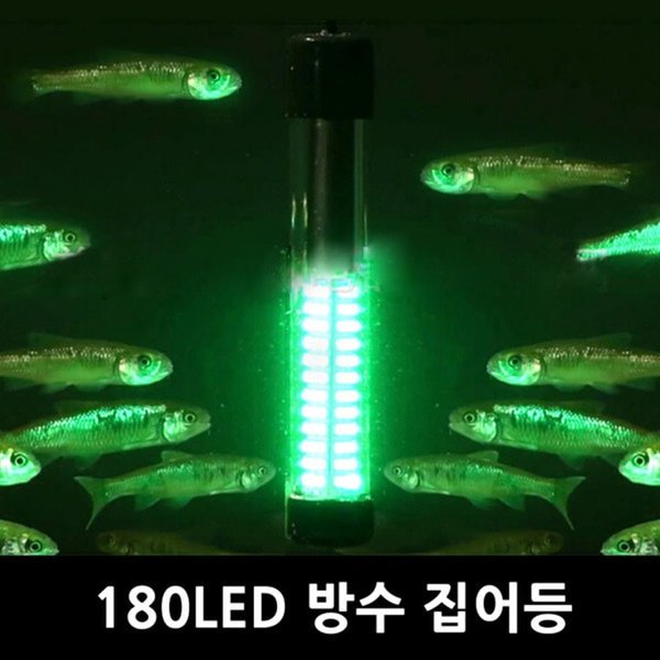 어장좀 쳤더니 물고기년들 존나 모이는데 이거 그린라이트임? :: 웃긴대학 대기자료 어장좀 쳤더니 물고기년들 존나 모이는데 이거 그린라이트임?