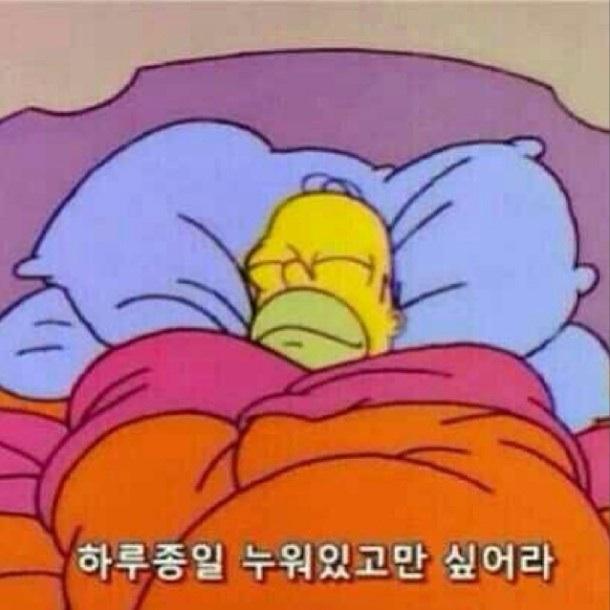 아무것도 안하고 누워있으니 좋당