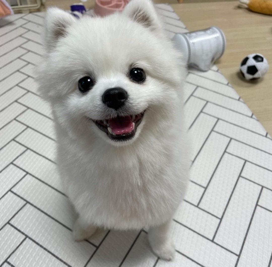 부모님께서 어릴때 맏긴 용돈을 진짜로 모아두셨다