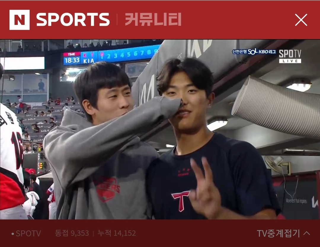 호랭이들 귀여움