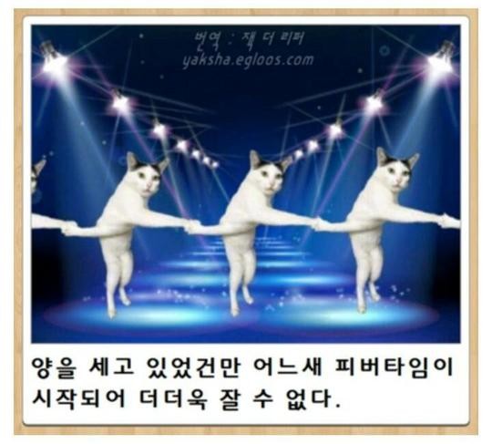 피버타임ㅋㅋㅋ