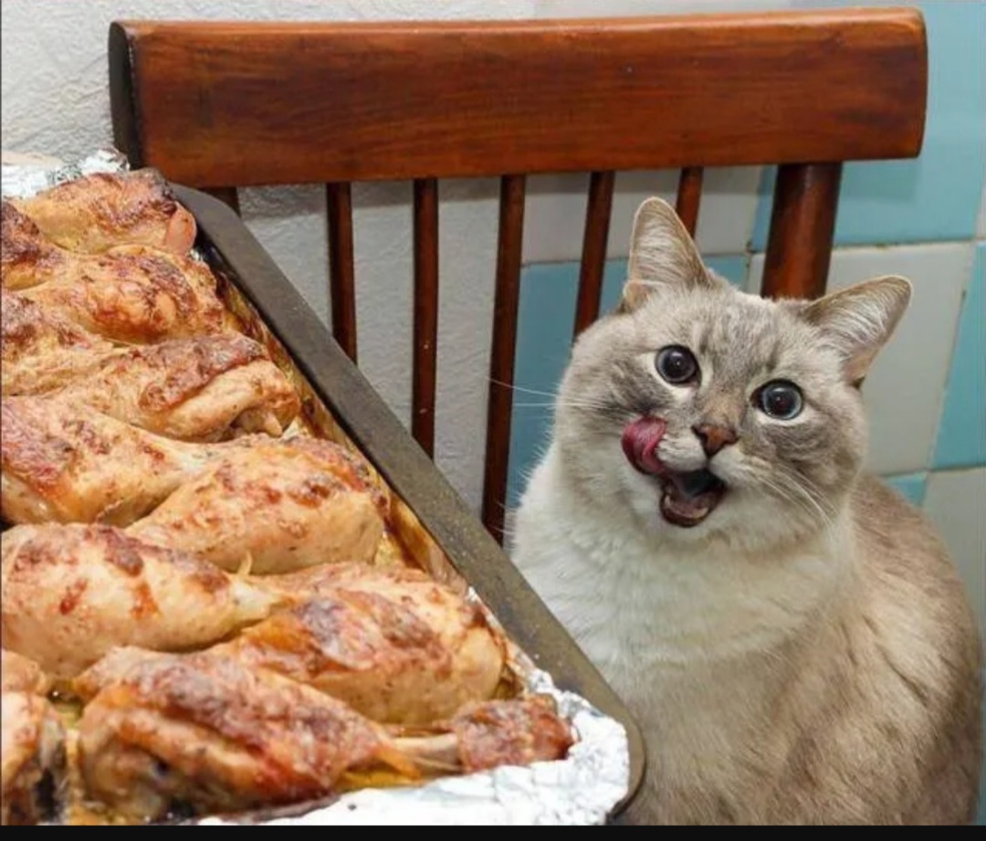 입맛다시는콘 너무귀여움