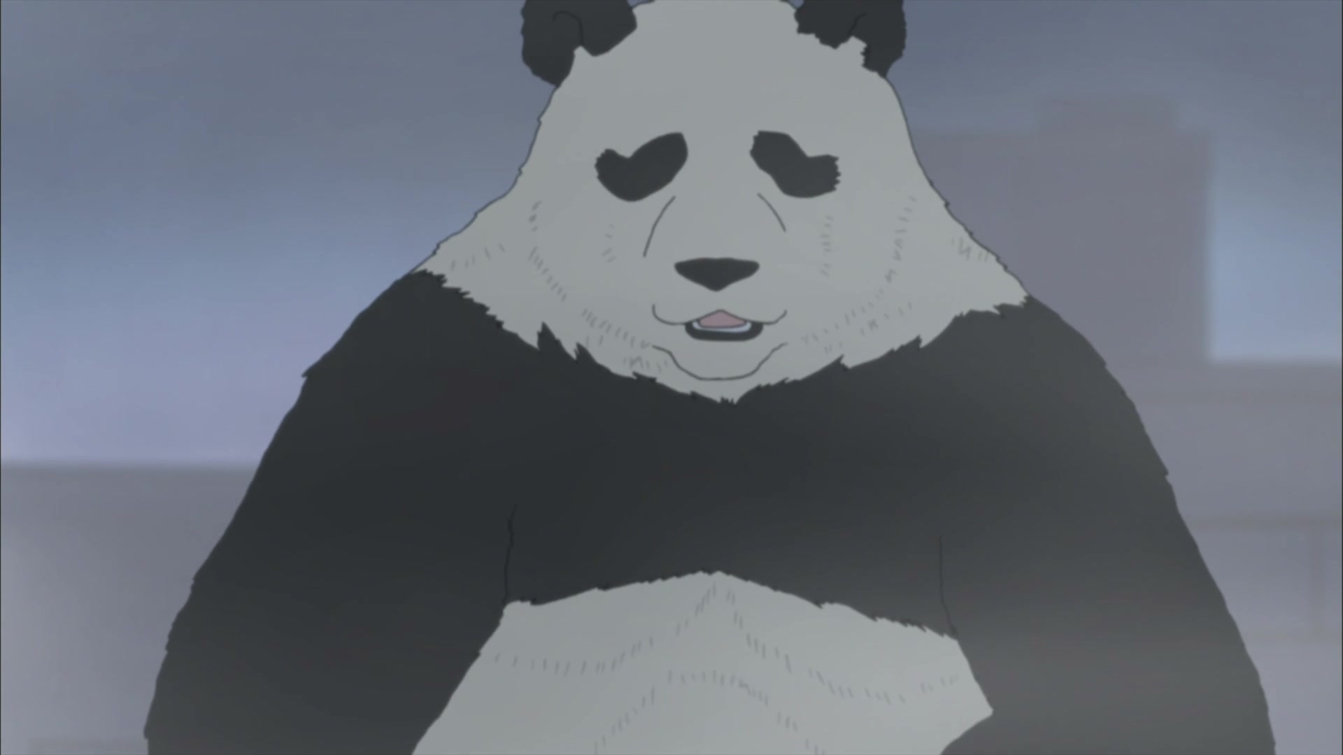 [미리알림] 왜 백곰카페 안보지