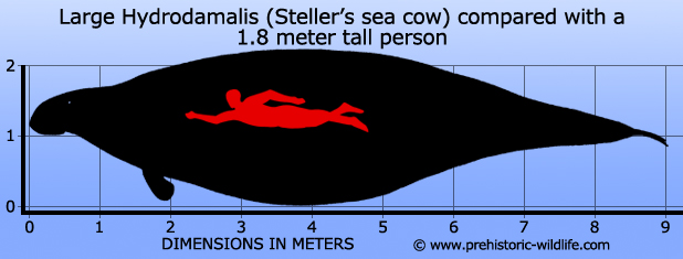 CID1561420482_3693_c476820cf212d81aa763c85ef7b604c45cae0f0f.jpg