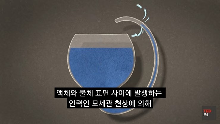 CID1554940674_1649_0c3b7ca4c3fe54f3ba0e190a6b5bc228ad4a1f8c.jpeg