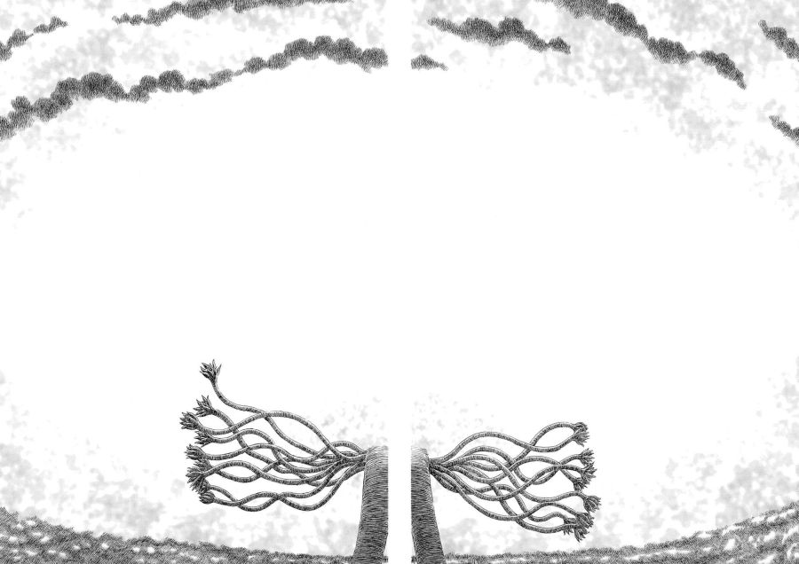 CID1656064216_3259_8c9447012dab3586ab69746909d2e2b9706d3eab.jpg
