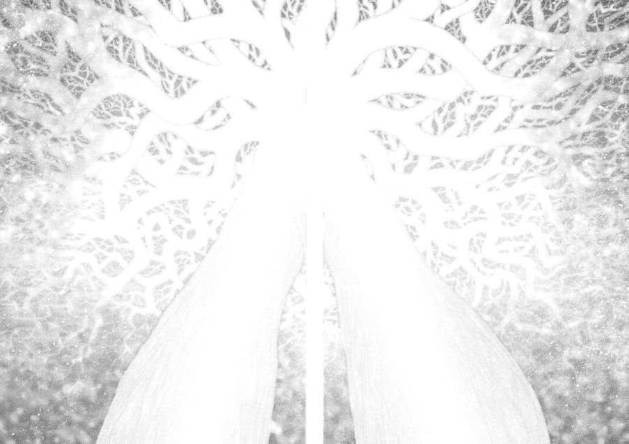 CID1656064216_3259_e2e58a4801a67d588c7e3aaf8eb4ebf7c308e739.jpg