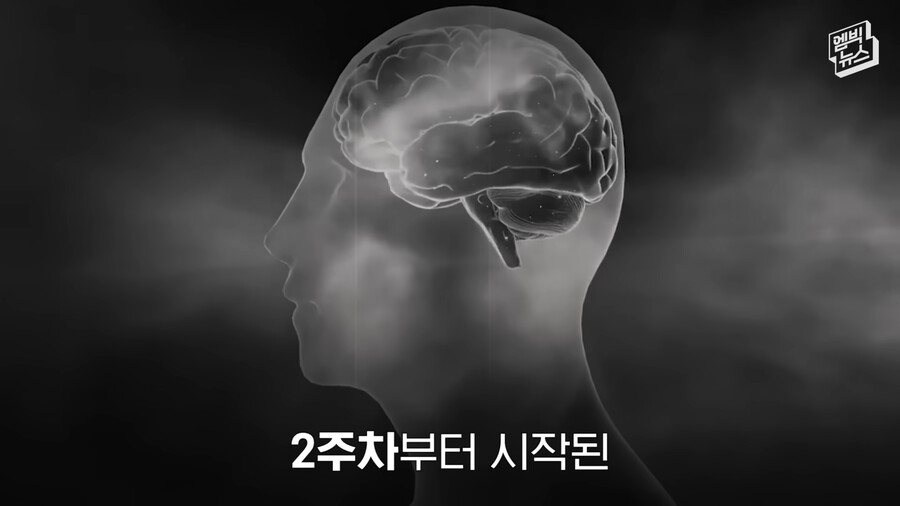 CID1675952292_2147_f49185b8cea5e2118c6359e6fcefed081aa17a0a.png