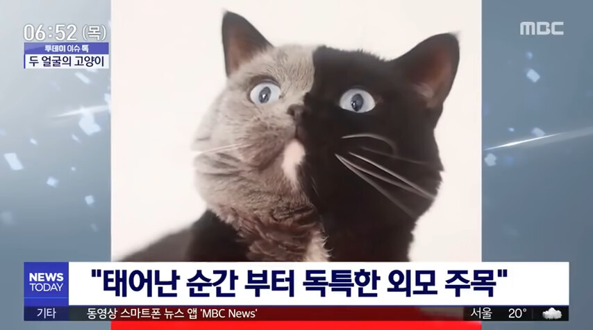 CID1689929277_6166_6e85b7876bc2229d92ab323afe7f819ffdf0d060.png