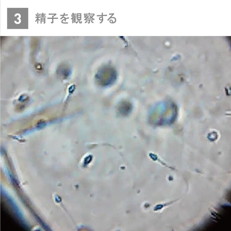 CID1663030039_3633_c185749f32dd97a15d12114c9f4cdb0f8fdd44f4.jpg