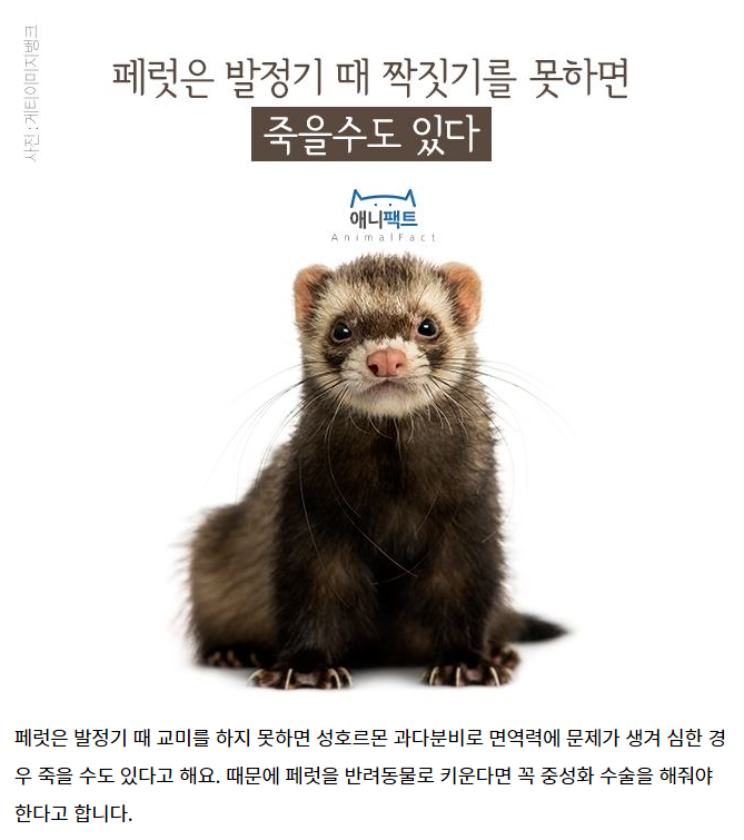 CID1608684388_7574_77ea5e206f020a87bd14ee0278a5640cc0a46cba.png