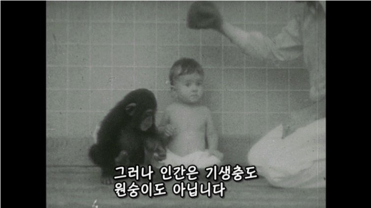 CID1624507381_5467_99cf54ecd57606f808442d92f38163fccd781801.jpg