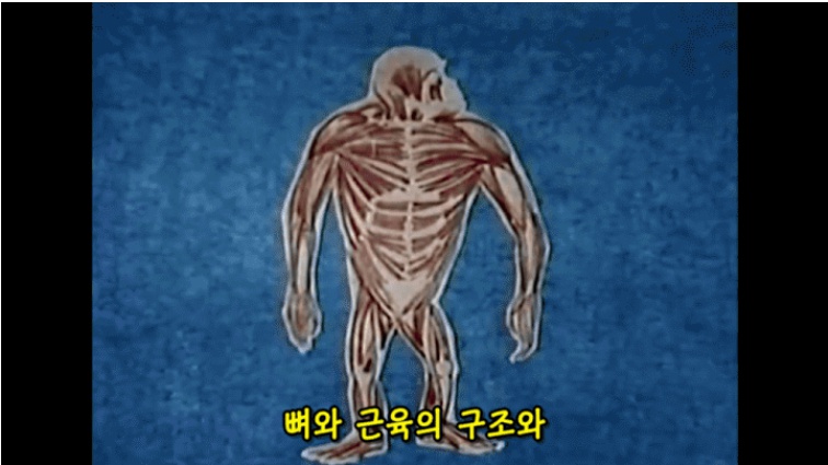 CID1624507381_5467_439bb2c06c2779b1ebd66440e1cd2eab7bc369a6.jpg