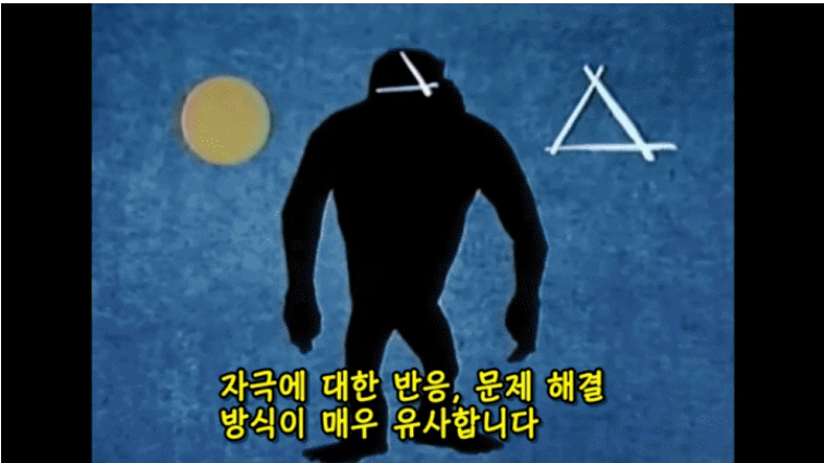 CID1624507381_5467_f7e533c52a7c0884467c30460956e64edb3a648d.jpg