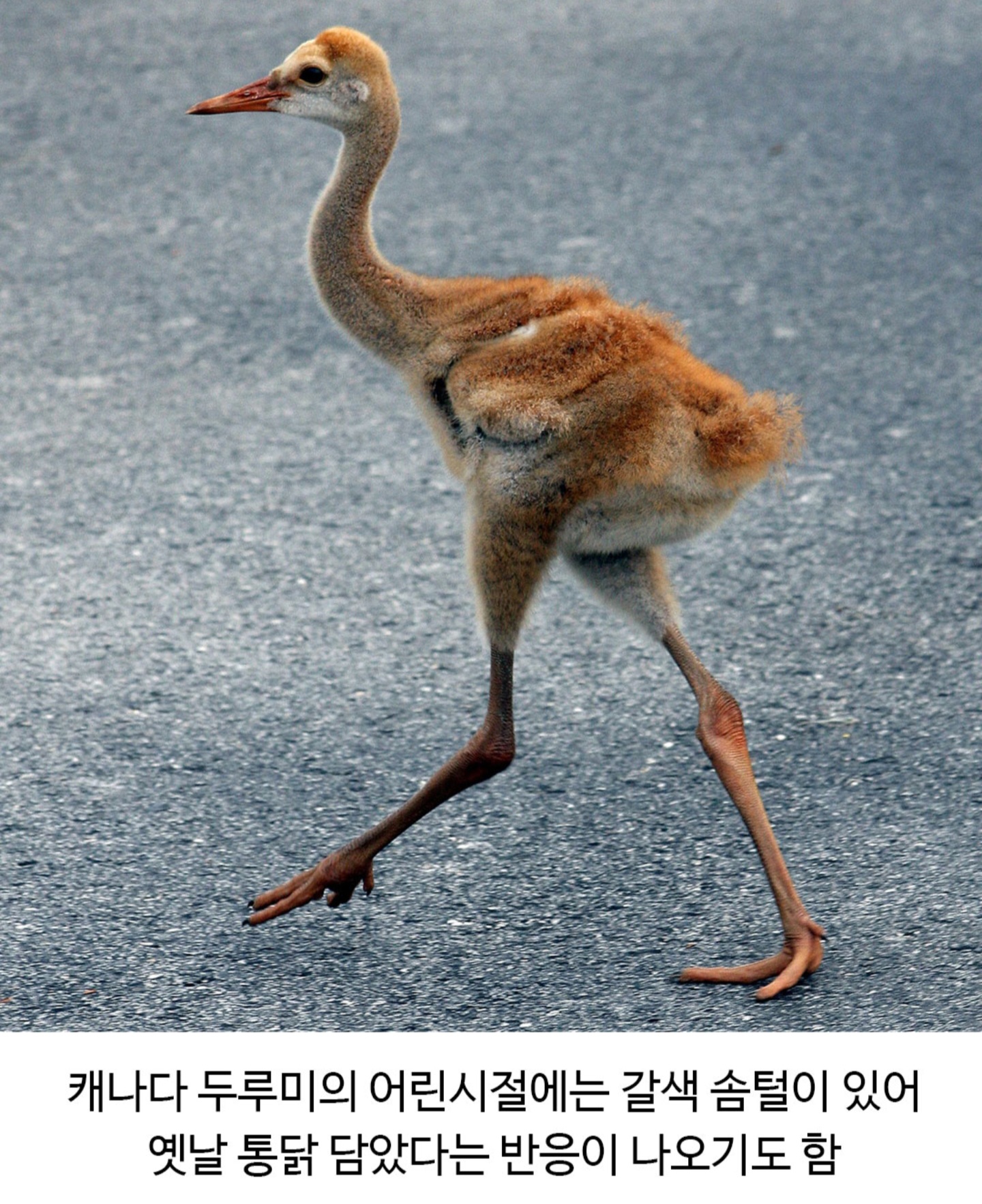 e_sf66bd0003_363ba4ede658f5dbacdaa7c8ffbe692396793015.jpg