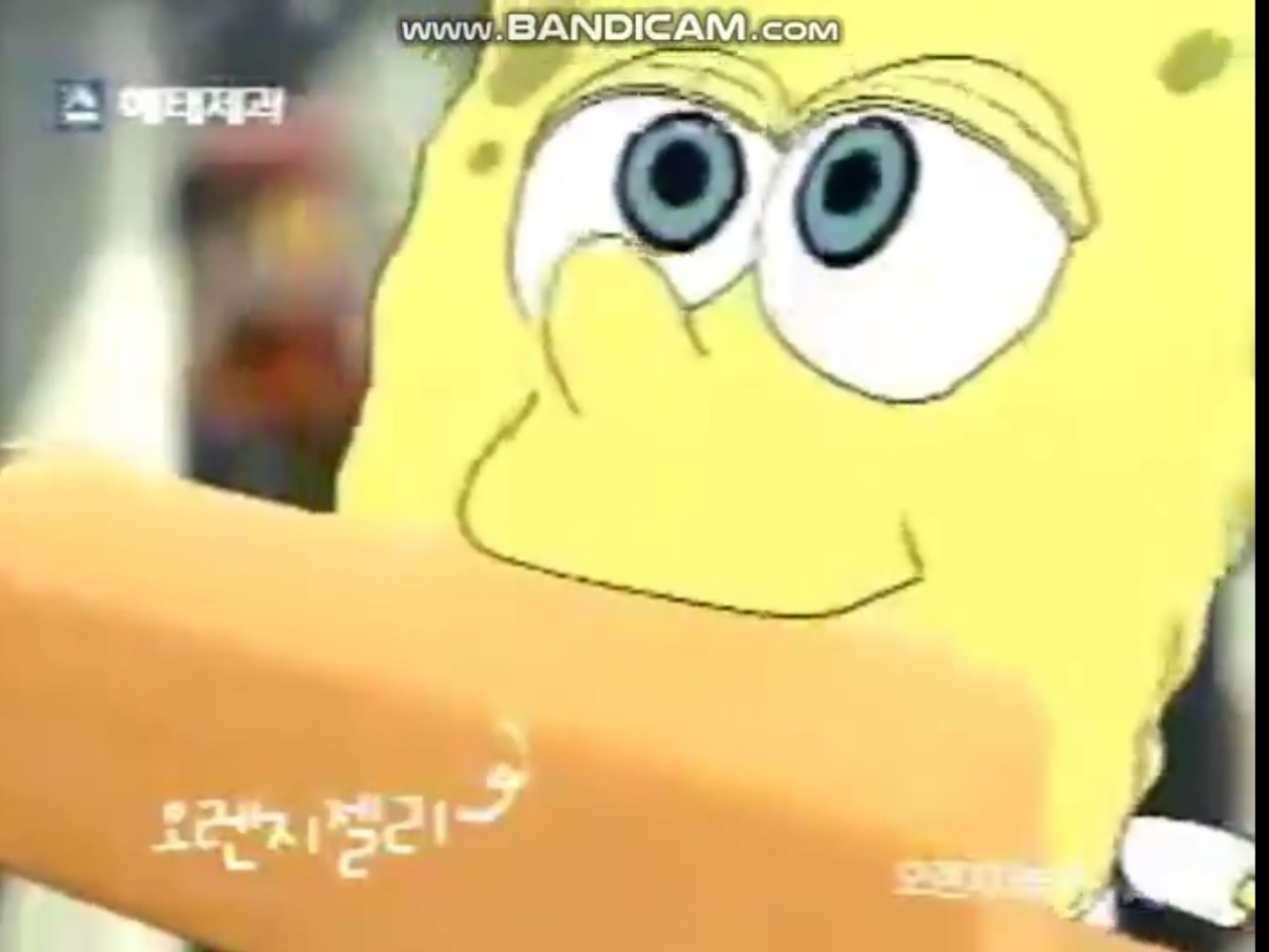 상상이 안되는 조합