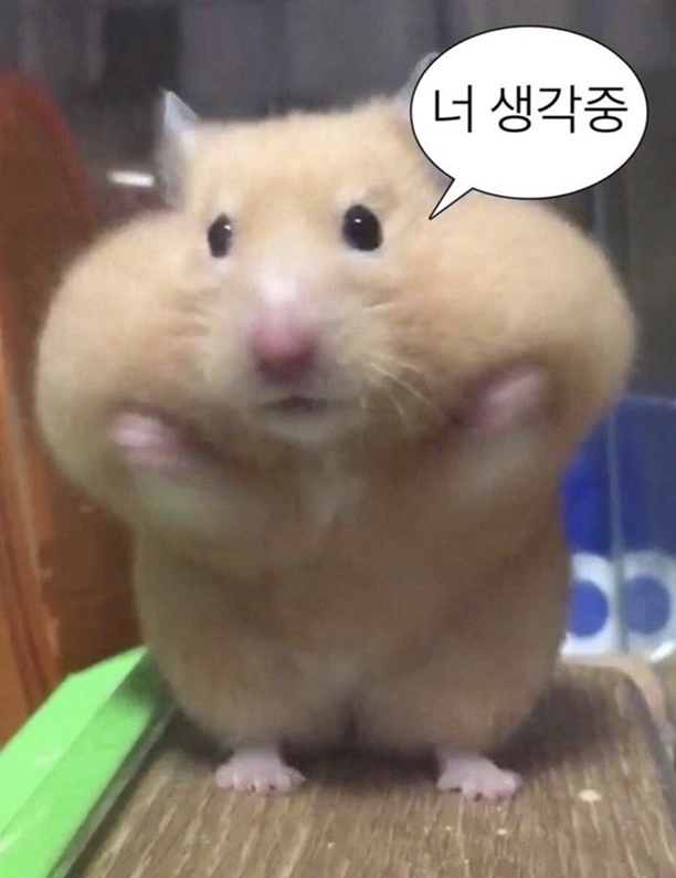 햄스터 챙겨먹이시던 할모니.jpg :: 웃긴대학 웃긴자료