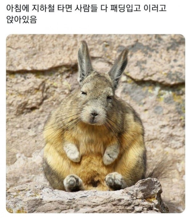 마리아나 해구 밑바닥에서 화염뿜는 물고기 발견