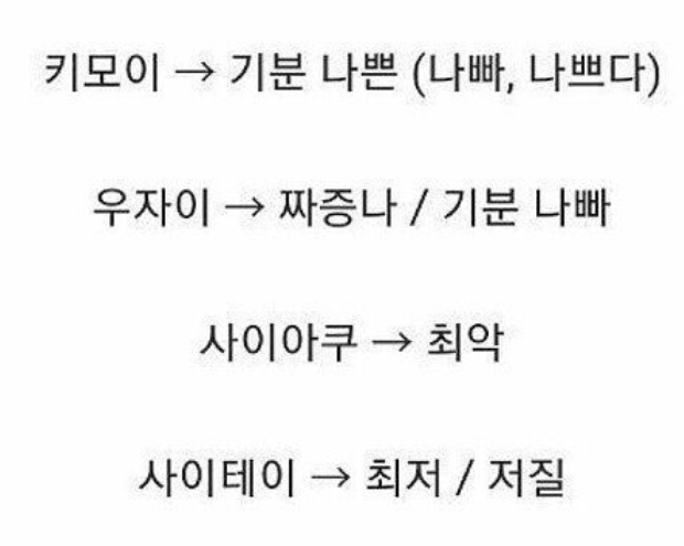 일본여자가 말하는 일본 욕