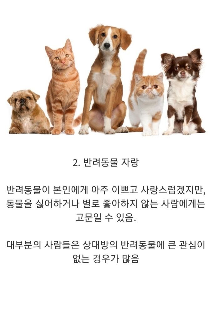 니새끼 너나 예쁘지의 예시.jpg