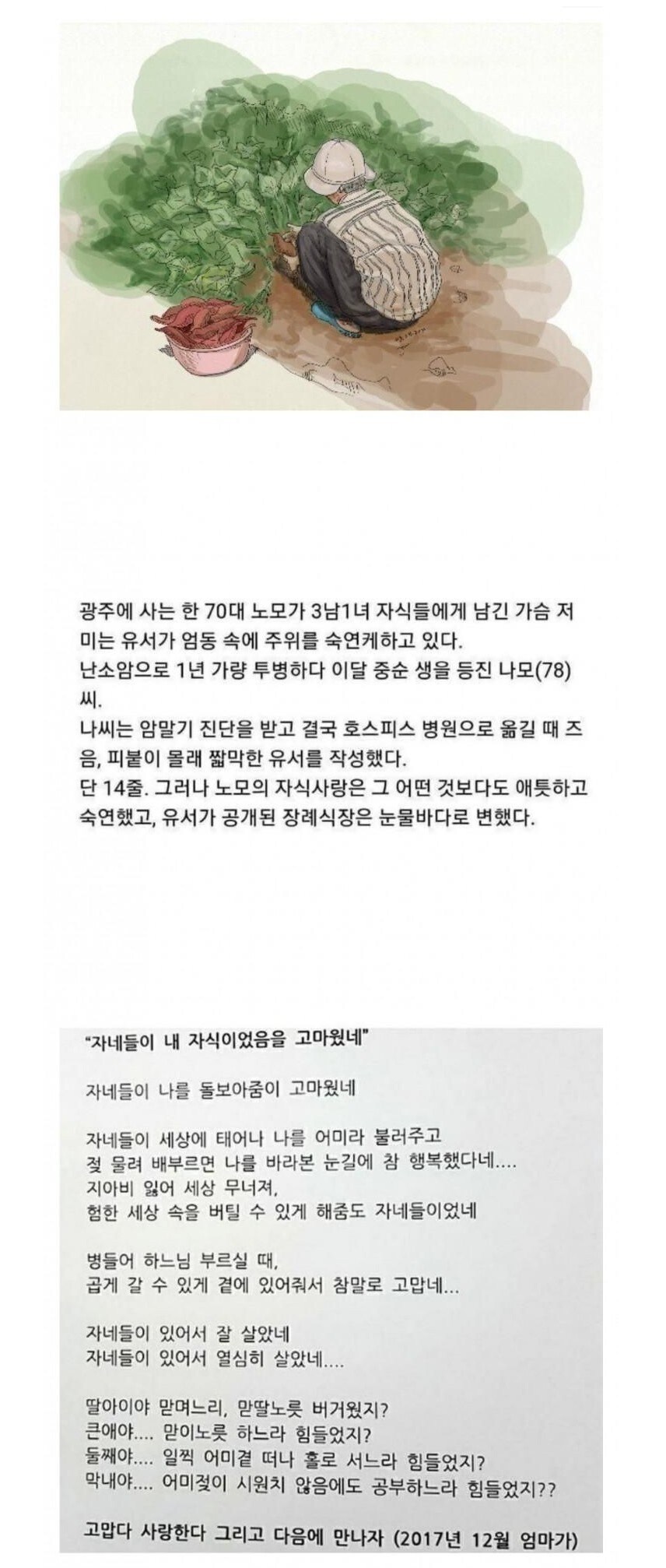 어느 78세 노모의 유서.jpg
