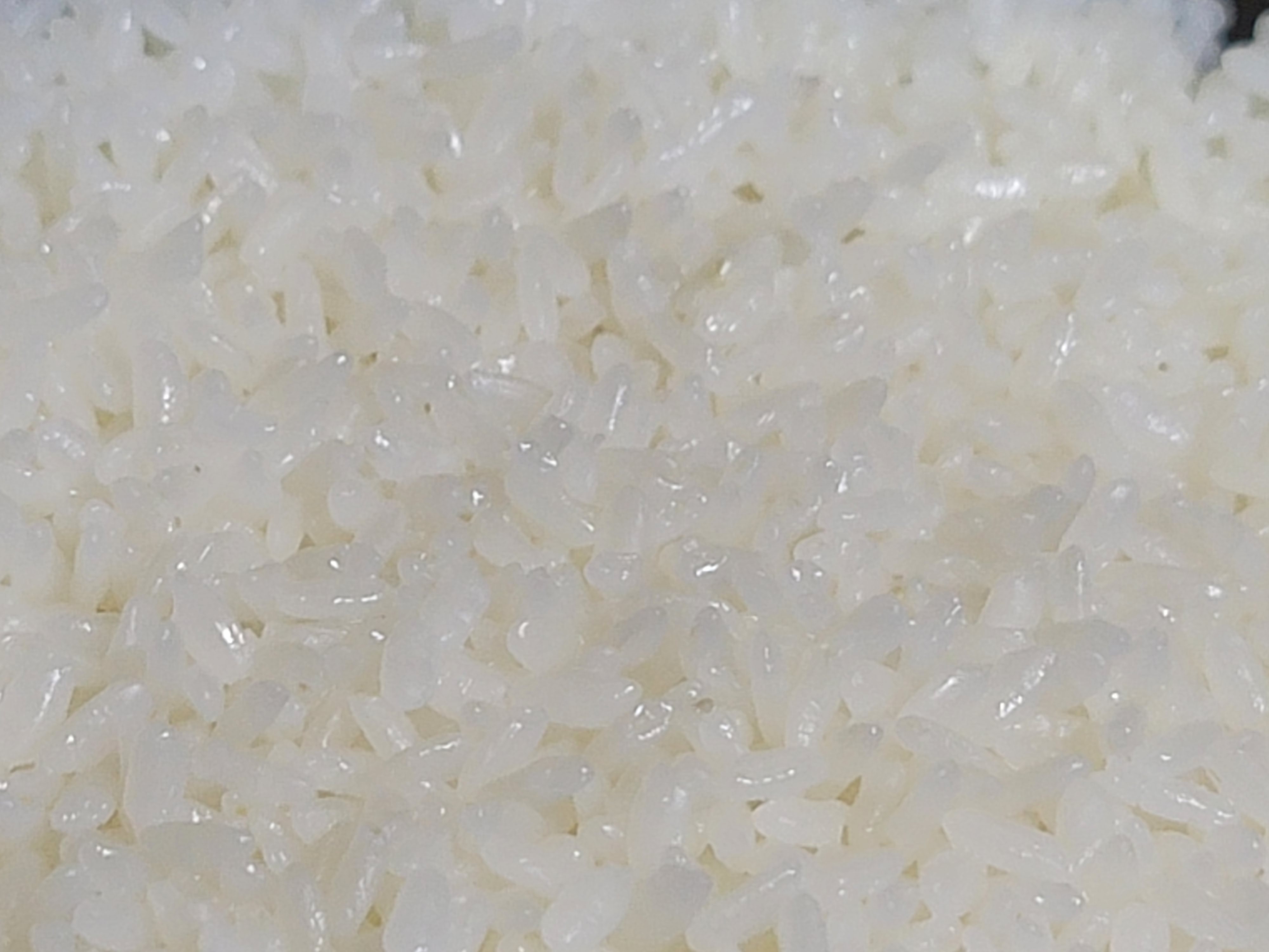 흰밥 완전 좋아!