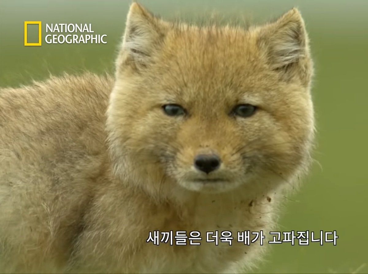 아빠 일하고 올테니까 저녁은 김치찌개 끓여놨으니까 먹어라