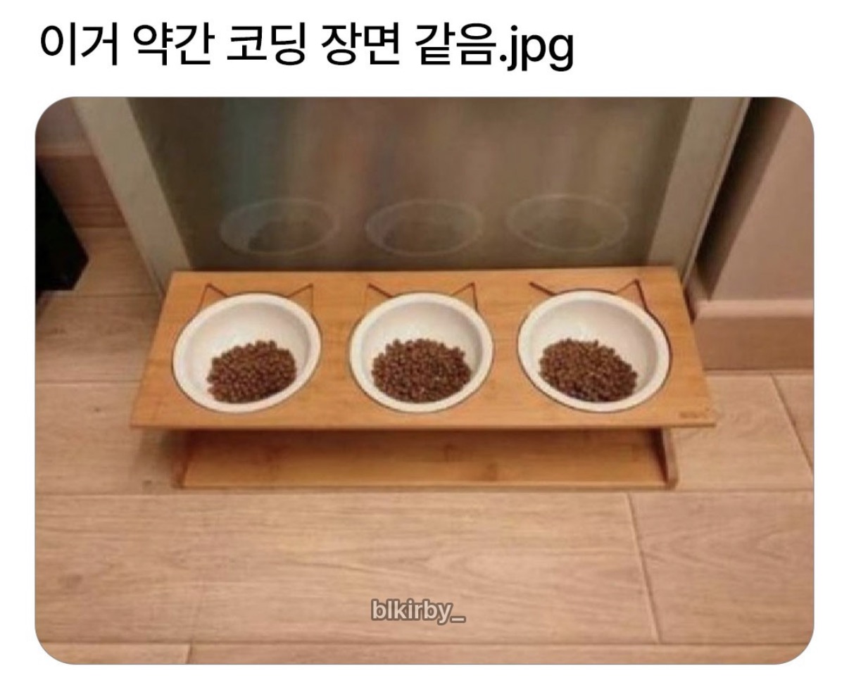 이거 약간 코딩 장면 같음.jpg