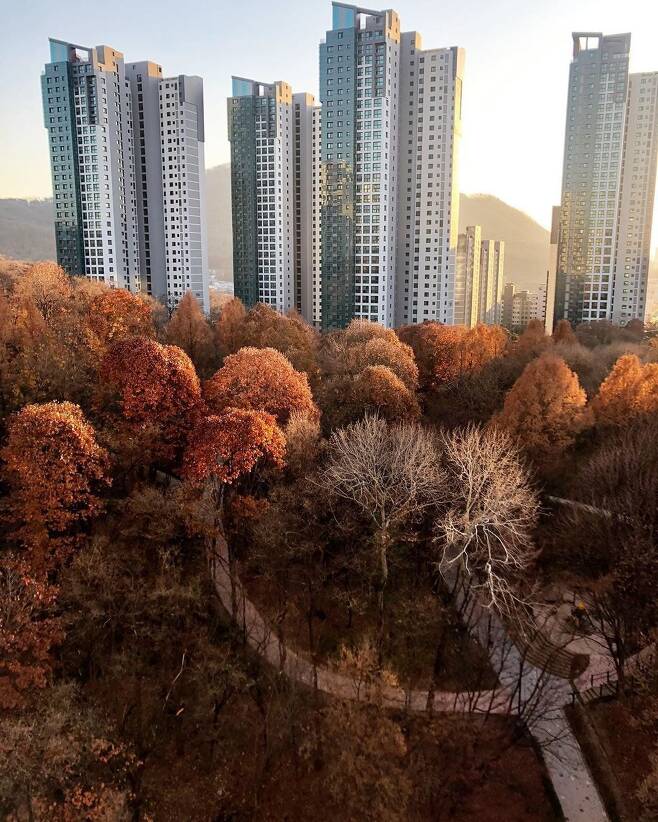 요즘 아파트 외관 특 .jpg