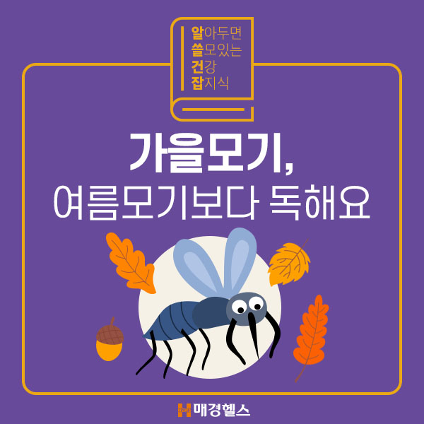 가을이 오고 있다