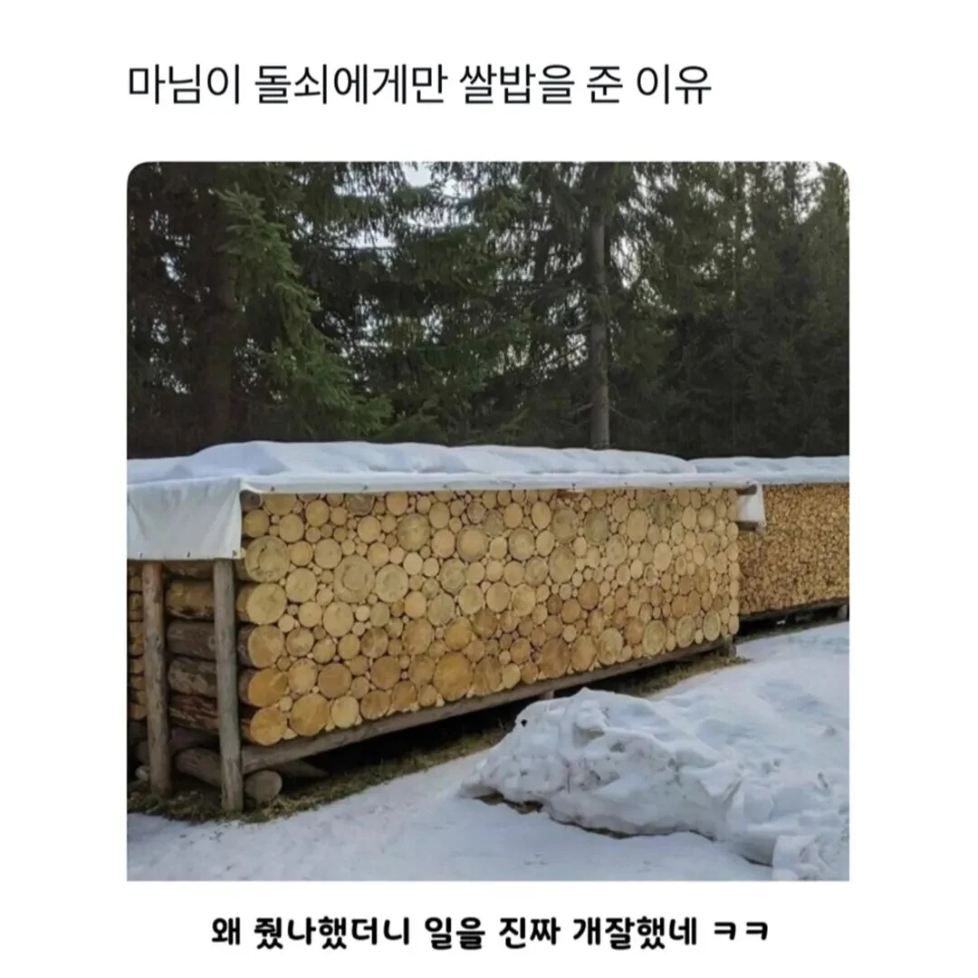 마님이 돌쇠에게만 쌀밥을 준 이유