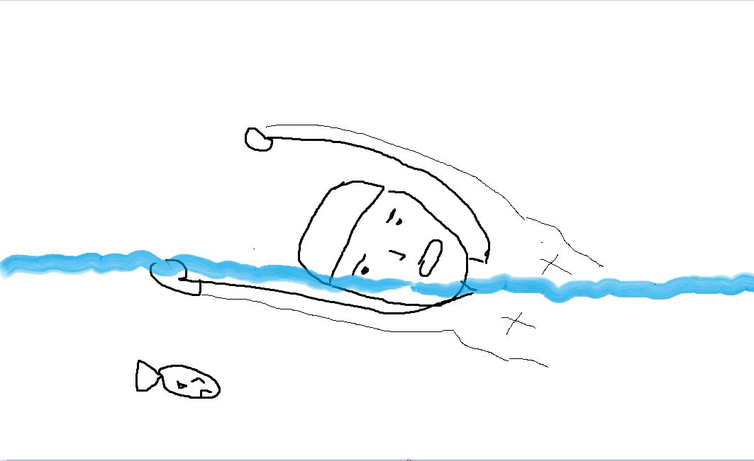 수영 호흡법 가고 멈추 강습 후기들을