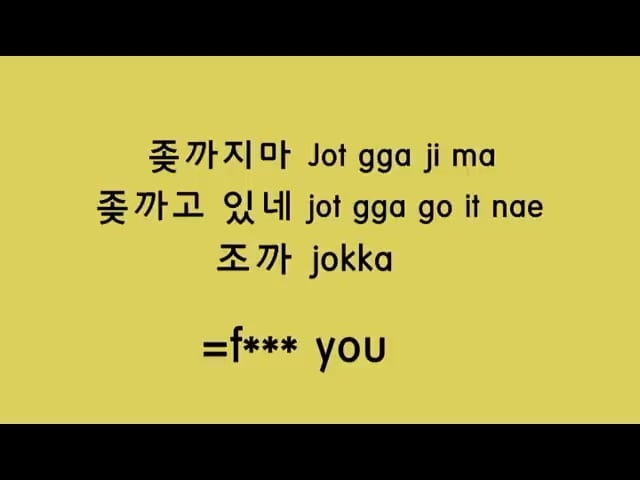 郎외국인들이 배우는 한국 욕 강좌