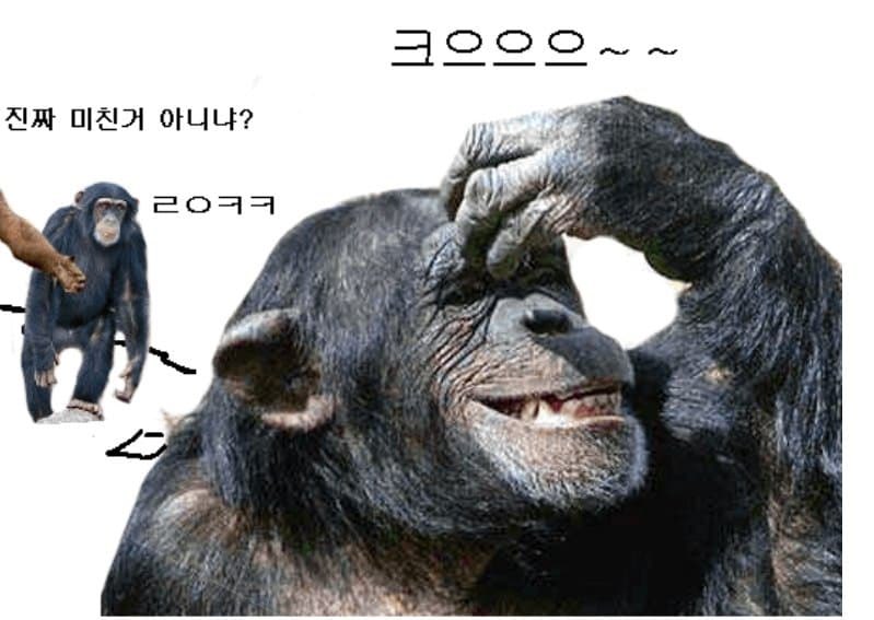 다다익선