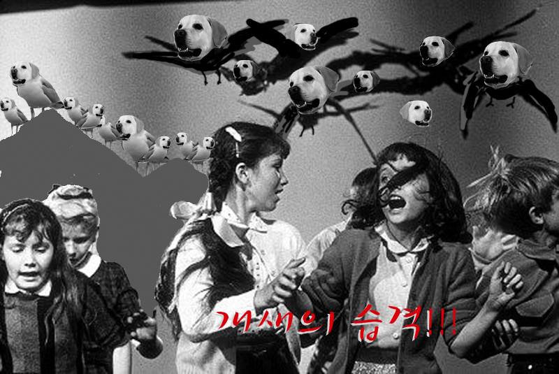 짤.방.으.로 웃.자.가.기