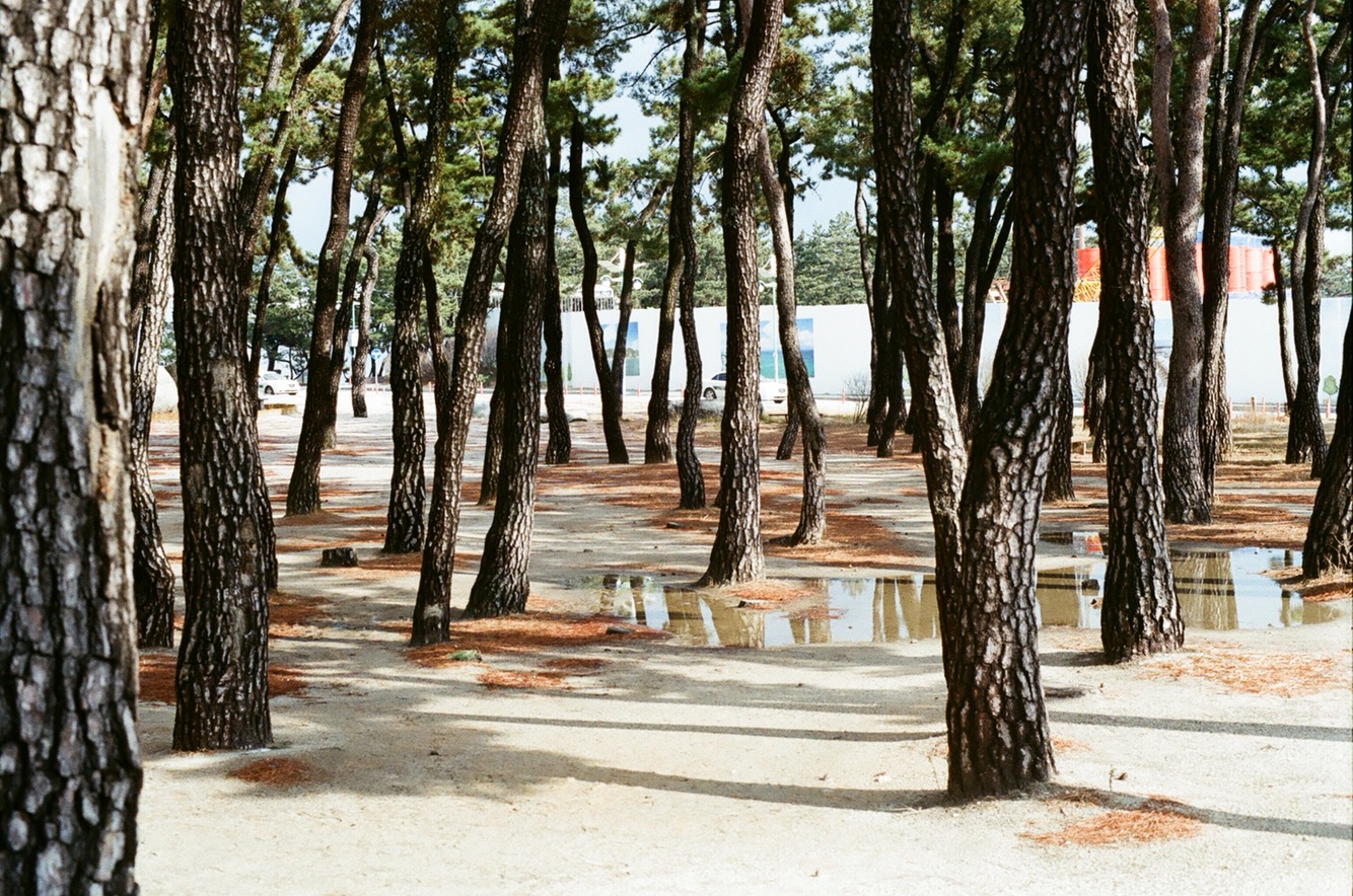 대구 달성 다올 주요 장점 이미지