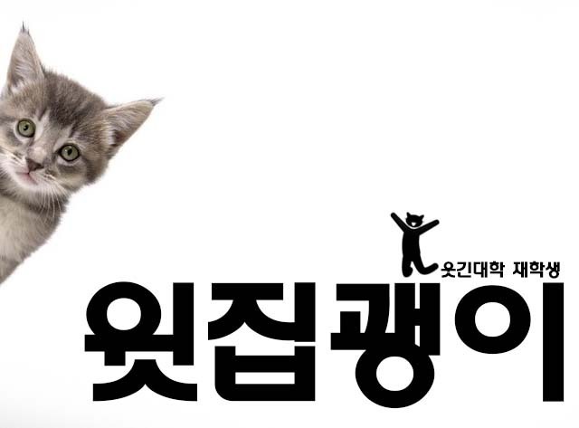 홍대김치찌개