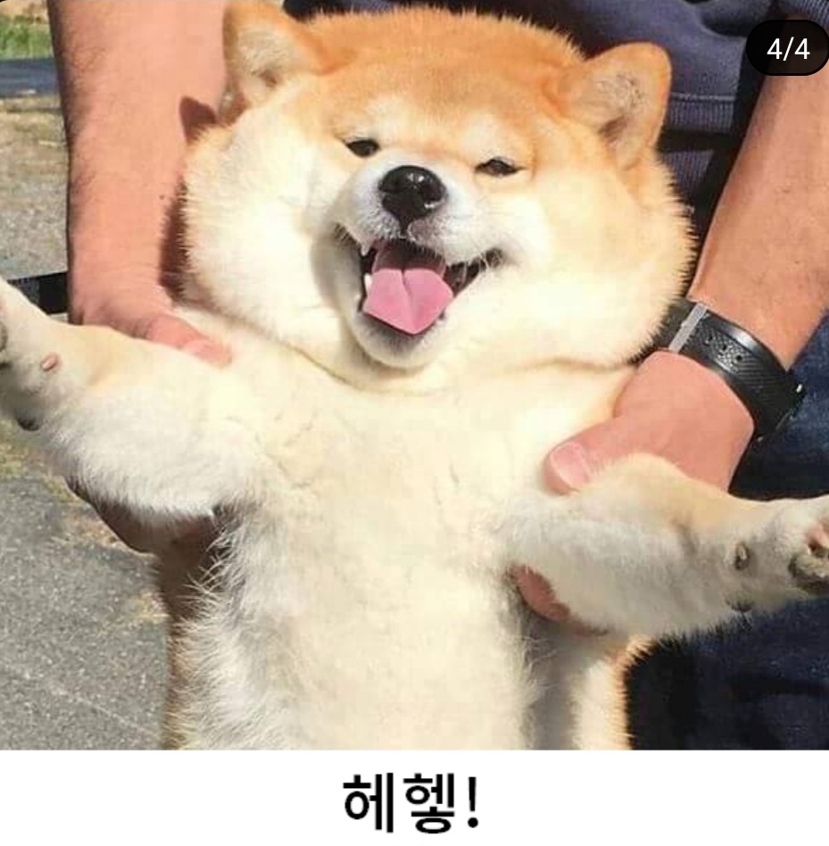 푸히호히히히