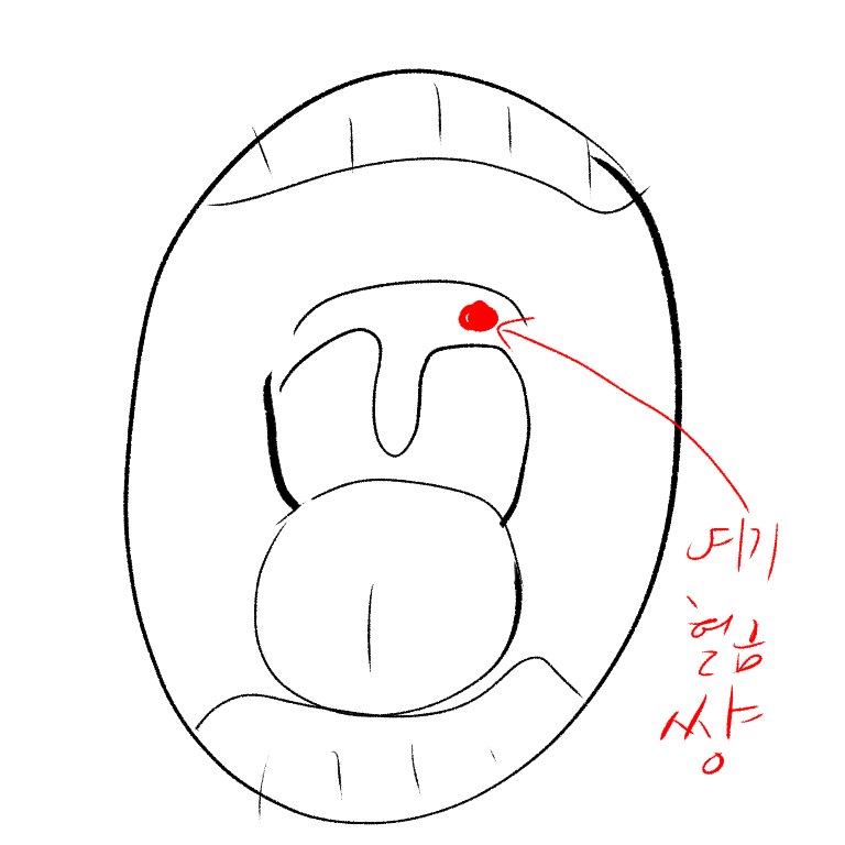 썅